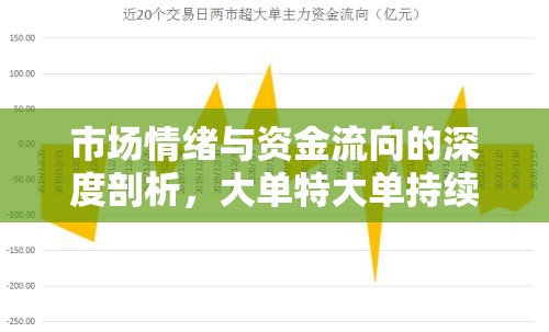 市場情緒與資金流向的深度剖析，大單特大單持續(xù)流出的影響