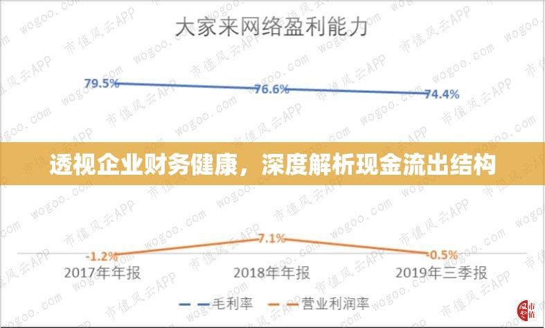 透視企業(yè)財(cái)務(wù)健康，深度解析現(xiàn)金流出結(jié)構(gòu)