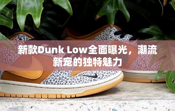 新款Dunk Low全面曝光，潮流新寵的獨(dú)特魅力