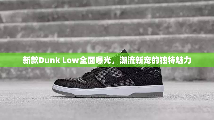 新款Dunk Low全面曝光，潮流新寵的獨(dú)特魅力