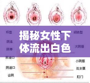 揭秘女性下體流出白色液體的真相