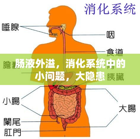 腸液外溢，消化系統(tǒng)中的小問題，大隱患