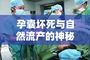 孕囊壞死與自然流產(chǎn)的神秘時間線，從開始到結束的完整過程