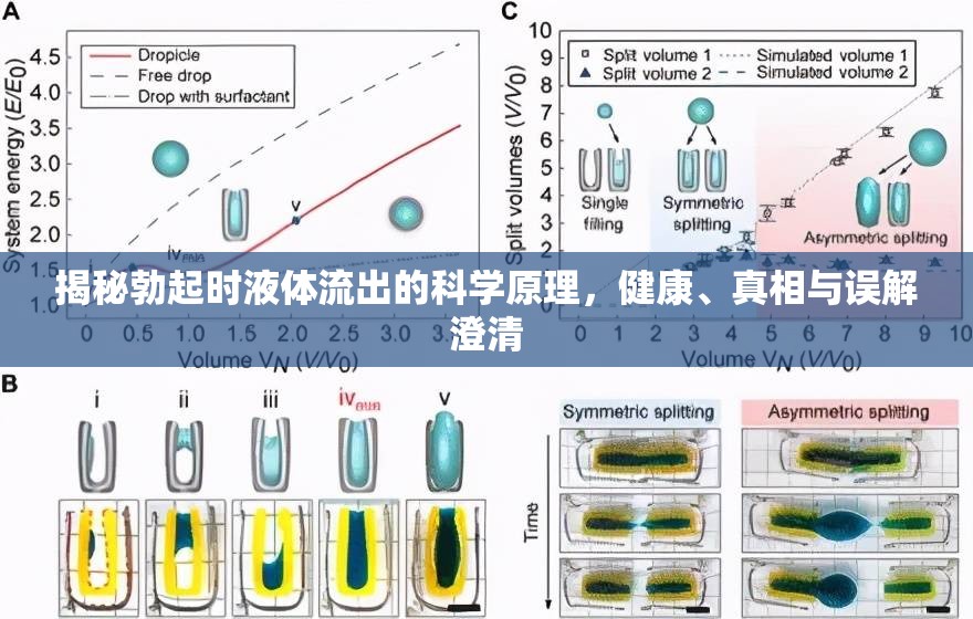 揭秘勃起時(shí)液體流出的科學(xué)原理，健康、真相與誤解澄清