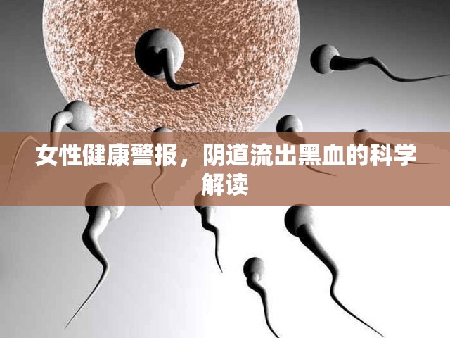 女性健康警報，陰道流出黑血的科學解讀