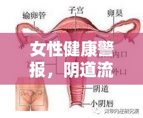 女性健康警報，陰道流出黑血的科學解讀