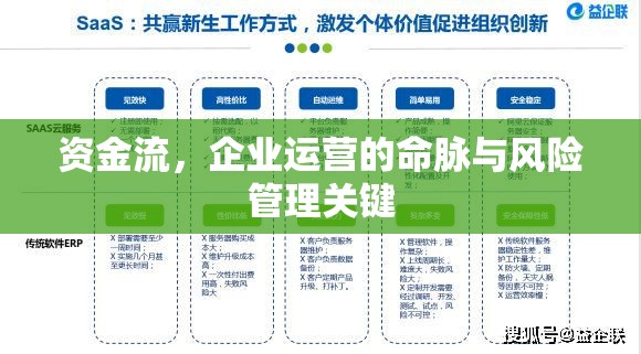 資金流，企業(yè)運(yùn)營的命脈與風(fēng)險管理關(guān)鍵