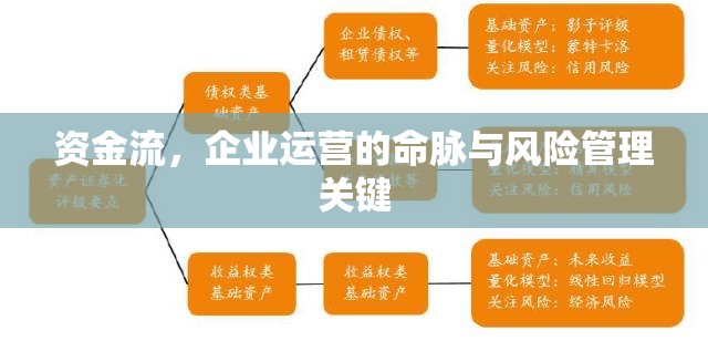 資金流，企業(yè)運(yùn)營的命脈與風(fēng)險管理關(guān)鍵