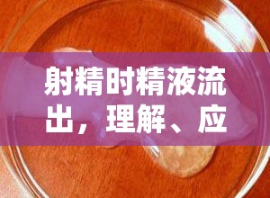 射精時精液流出，理解、應對策略與提升性健康