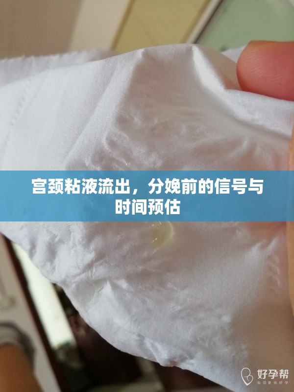 宮頸粘液流出，分娩前的信號與時間預(yù)估