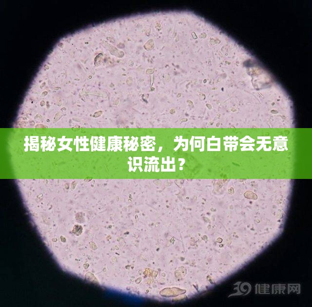 揭秘女性健康秘密，為何白帶會無意識流出？