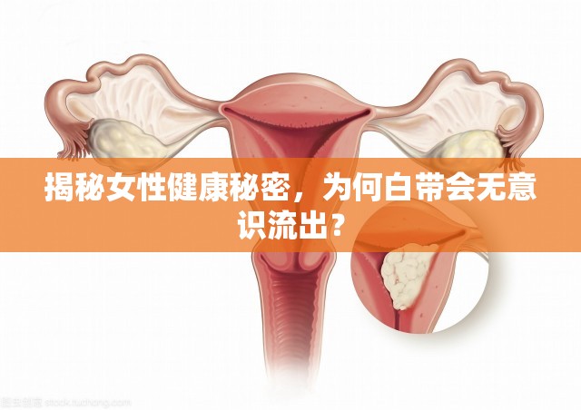 揭秘女性健康秘密，為何白帶會無意識流出？