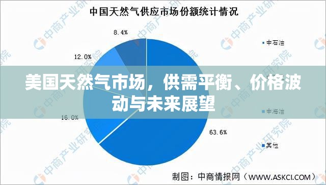 美國天然氣市場，供需平衡、價(jià)格波動與未來展望