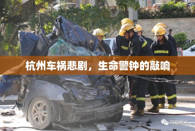 杭州車禍悲劇，生命警鐘的敲響