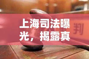 上海司法曝光，揭露真相，守護正義的深度剖析