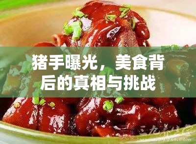 豬手曝光，美食背后的真相與挑戰(zhàn)