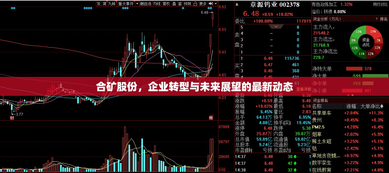 合礦股份，企業(yè)轉型與未來展望的最新動態(tài)