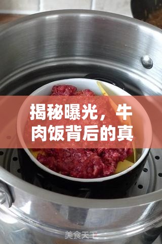 揭秘曝光，牛肉飯背后的真相與美味秘密