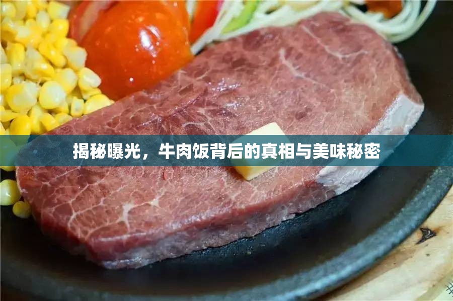 揭秘曝光，牛肉飯背后的真相與美味秘密