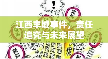 江西豐城事件，責任追究與未來展望