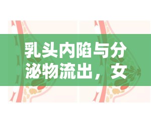 乳頭內(nèi)陷與分泌物流出，女性健康不可忽視的隱秘信號(hào)