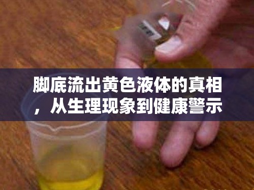 腳底流出黃色液體的真相，從生理現(xiàn)象到健康警示