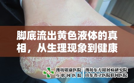 腳底流出黃色液體的真相，從生理現(xiàn)象到健康警示