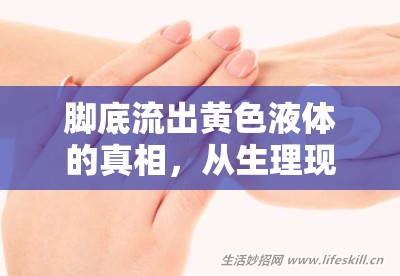 腳底流出黃色液體的真相，從生理現(xiàn)象到健康警示