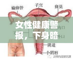 女性健康警報，下身暗色分泌物，不容忽視的信號