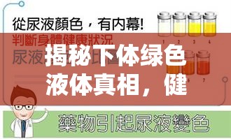 揭秘下體綠色液體真相，健康警報(bào)與科學(xué)應(yīng)對(duì)策略