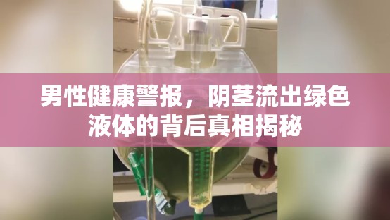 男性健康警報，陰莖流出綠色液體的背后真相揭秘