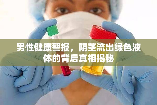 男性健康警報(bào)，陰莖流出綠色液體的背后真相揭秘