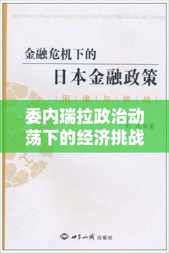 委內(nèi)瑞拉政治動蕩下的經(jīng)濟挑戰(zhàn)與民生困境