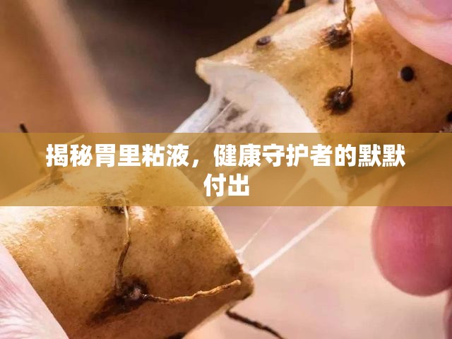 揭秘胃里粘液，健康守護(hù)者的默默付出