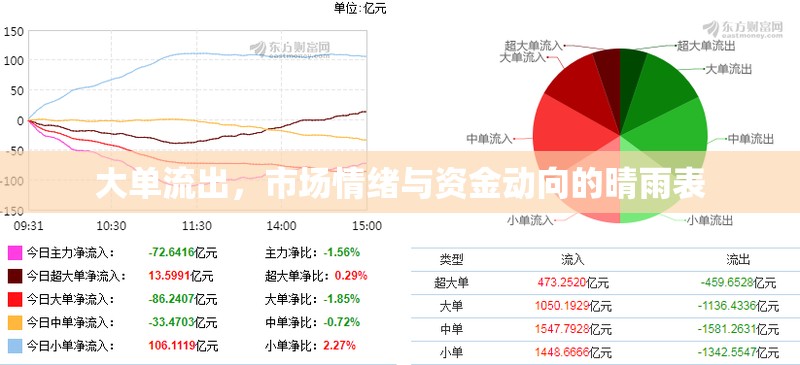 大單流出，市場情緒與資金動向的晴雨表