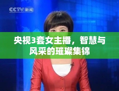 央視3套女主播，智慧與風(fēng)采的璀璨集錦