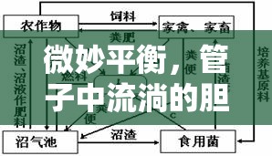 微妙平衡，管子中流淌的膽汁與生命循環(huán)的奧秘