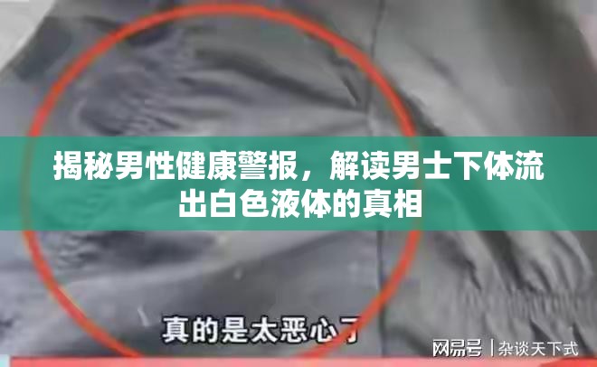 揭秘男性健康警報，解讀男士下體流出白色液體的真相