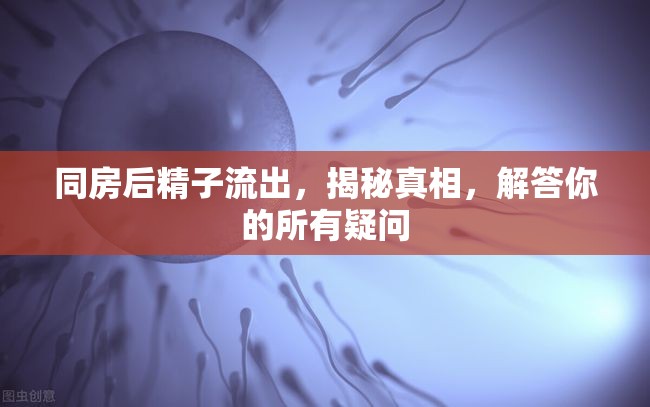 同房后精子流出，揭秘真相，解答你的所有疑問