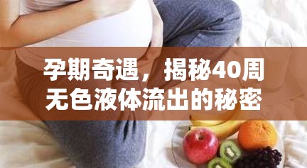 孕期奇遇，揭秘40周無色液體流出的秘密