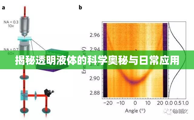 揭秘透明液體的科學奧秘與日常應用