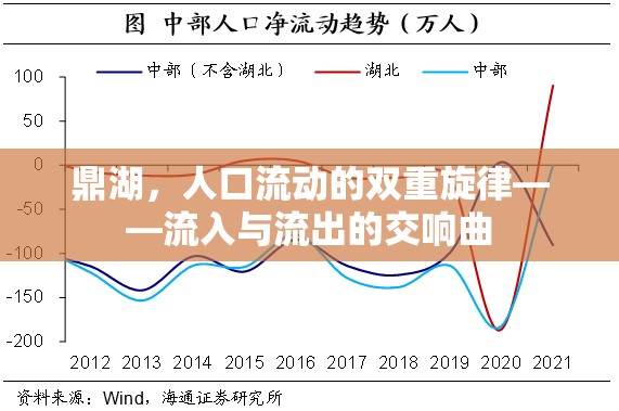 鼎湖，人口流動的雙重旋律——流入與流出的交響曲