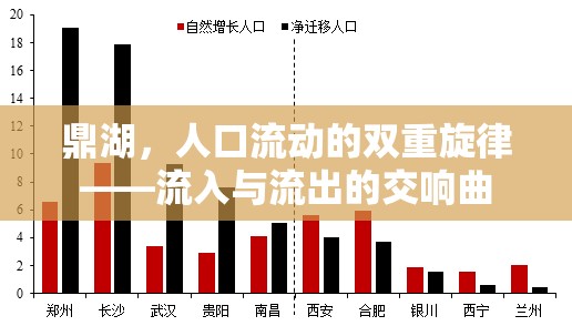 鼎湖，人口流動的雙重旋律——流入與流出的交響曲