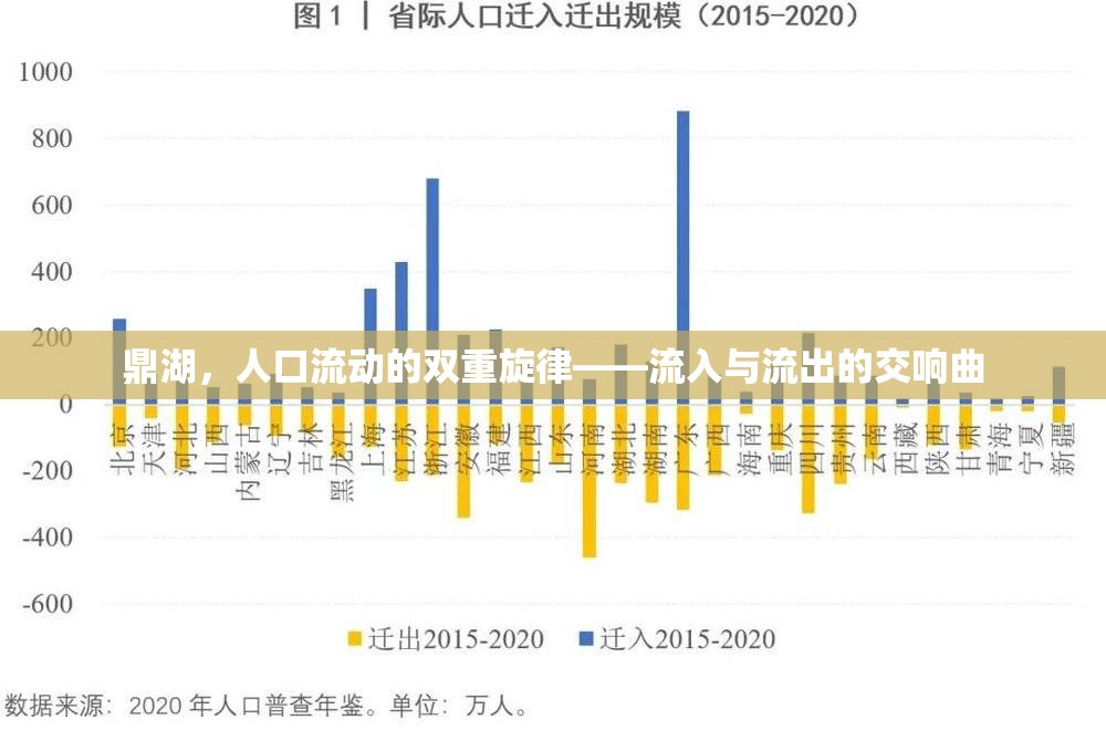 鼎湖，人口流動的雙重旋律——流入與流出的交響曲