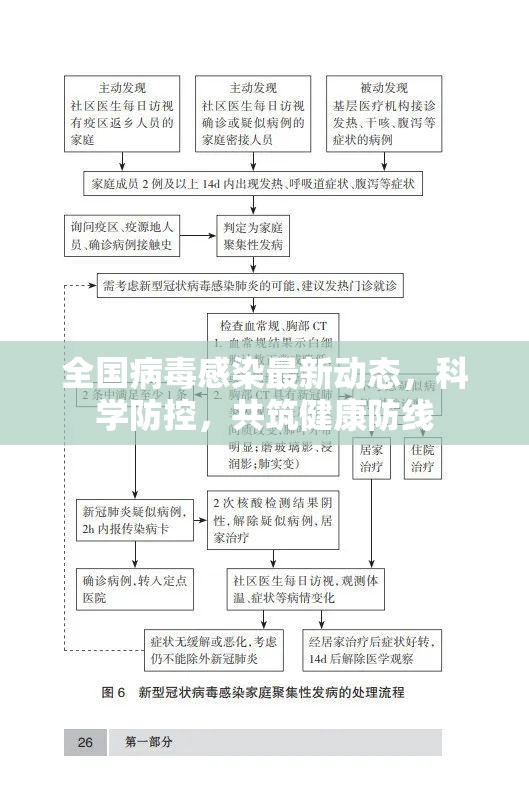 全國(guó)病毒感染最新動(dòng)態(tài)，科學(xué)防控，共筑健康防線