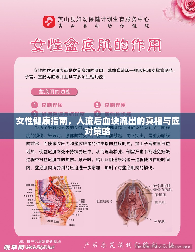 女性健康指南，人流后血塊流出的真相與應(yīng)對(duì)策略