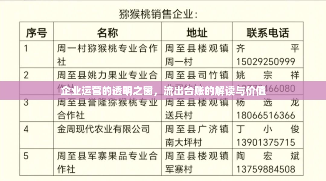 企業(yè)運(yùn)營的透明之窗，流出臺(tái)賬的解讀與價(jià)值