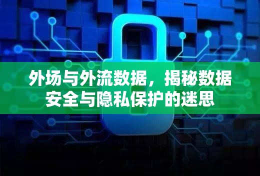 外場與外流數據，揭秘數據安全與隱私保護的迷思