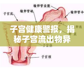 子宮健康警報，揭秘子宮流出物異味背后的真相