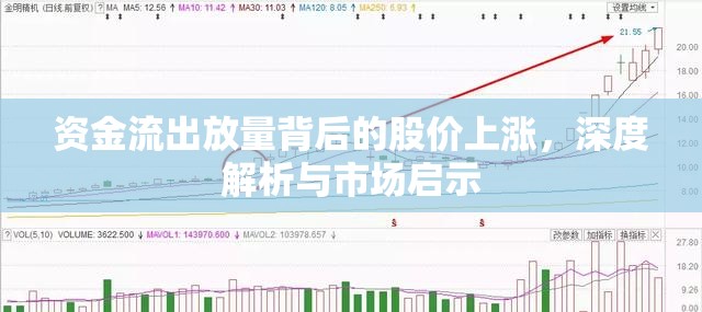 資金流出放量背后的股價(jià)上漲，深度解析與市場啟示